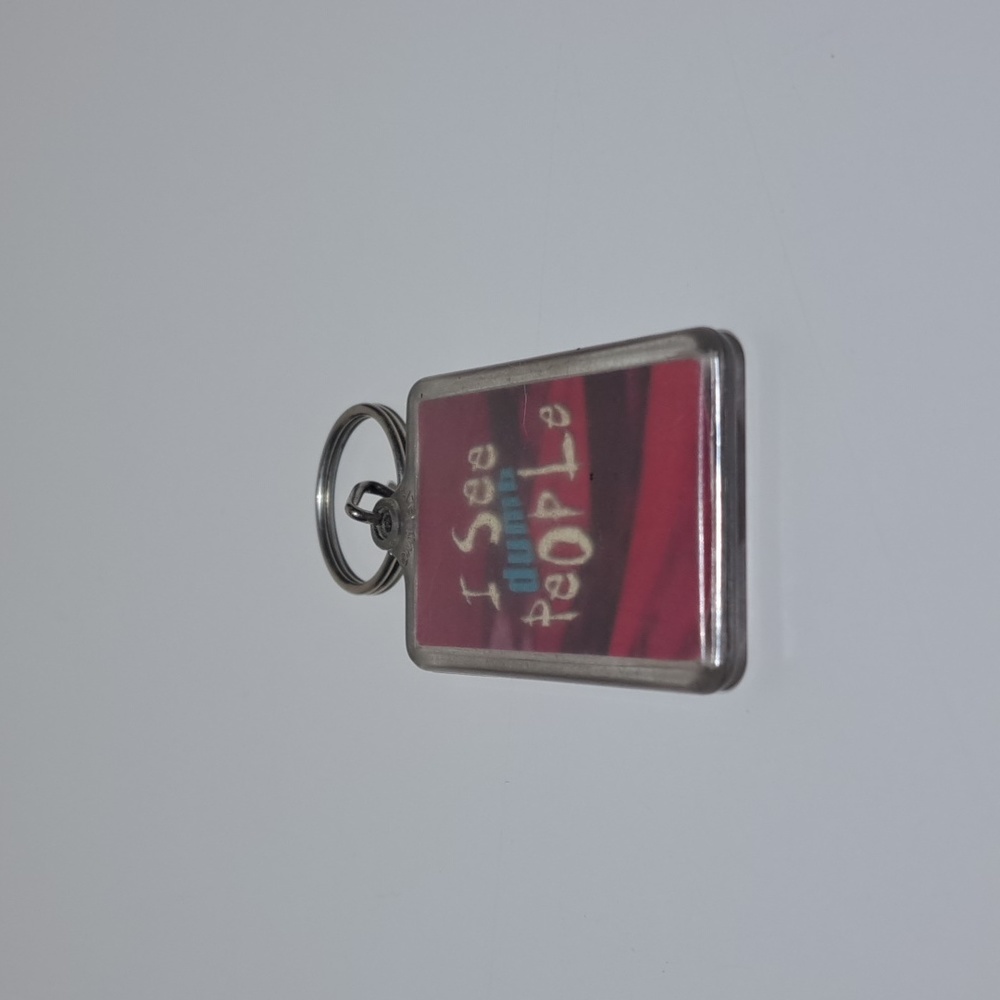 Keychain "I see dumb people"